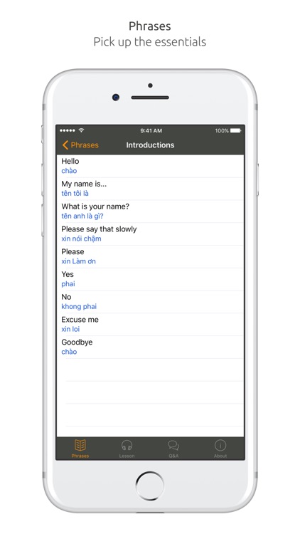 Vietnamese Language Guide & Audio - World Nomads screenshot-3