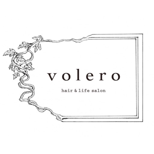 volero icon