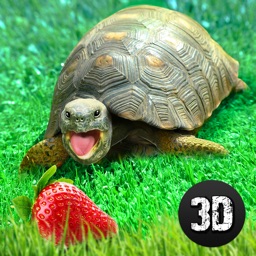 Turtle Simulator: House Pet Life