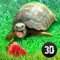 Become the small slack tortoise trying to survive in the large country house