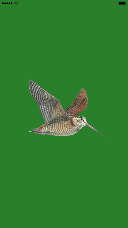 Hunting Decoys and Birdwatching - Bird Sounds