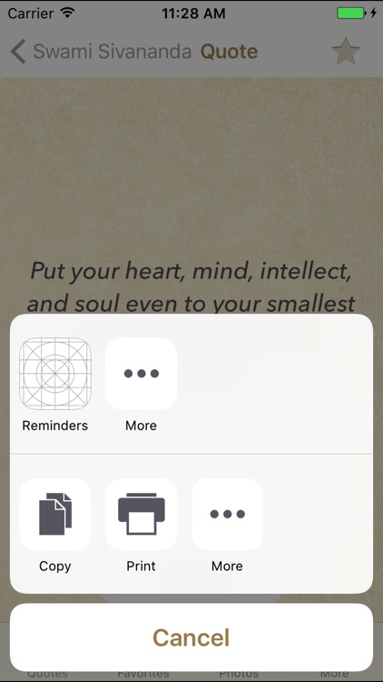 Sivananda Saraswati Wisdom Quotes & Sayings screenshot-3