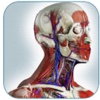 Gray's Anatomy - Atlas Human