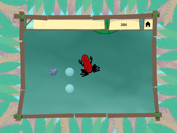 A Frog's Life screenshot-4