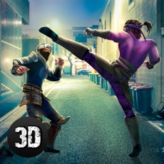 Activities of Ninja Kung Fu Street Fighting Challenge 3D Full