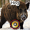 App Icon for Real Hog Hunting Calls & Sounds App in Pakistan IOS App Store