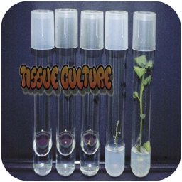 Tissue Culture Techniques