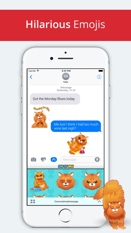 Coon Cat Emoji -Maine Coon Stickers for Cat Lovers screenshot-3