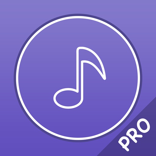 Music Player Pro - Player for lossless music Icon