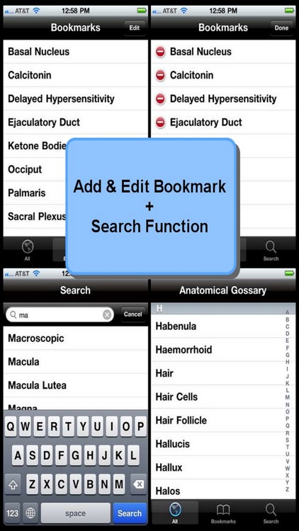 Anatomical Glossary