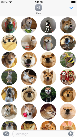 Shiba Inu Stickers for iMessage