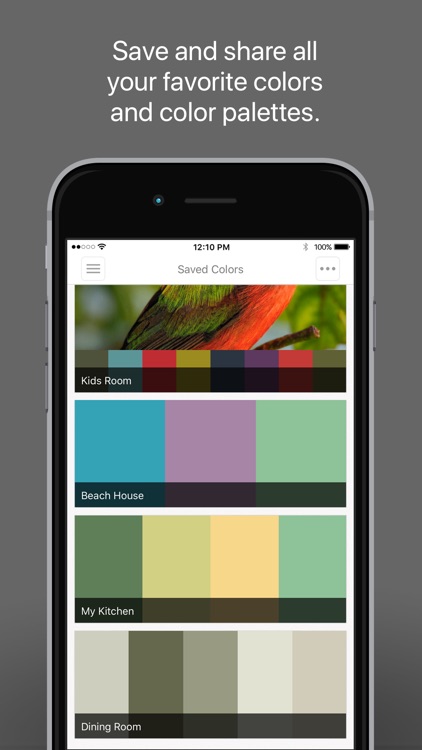 ColorSnap® Visualizer for iPhone screenshot-4