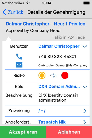 DirX Approvals screenshot 3