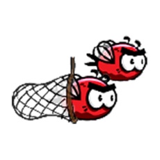 Activities of Catch Bee