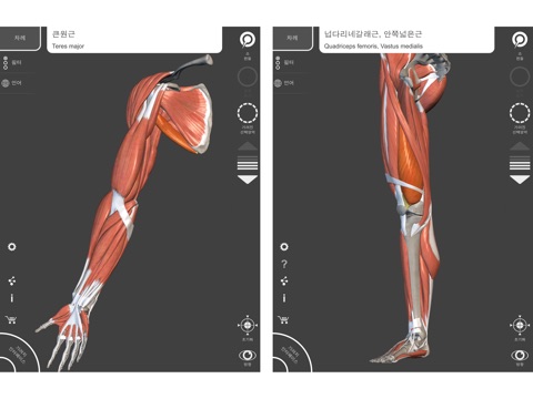 Anatomy 3D Atlas screenshot 4