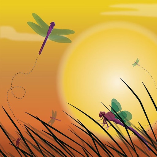 A Dragon Fly Traveling In The Evening icon