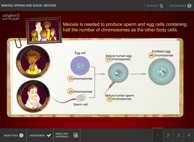 Making Sperm and Eggs: Meiosis(圖2)-速報App