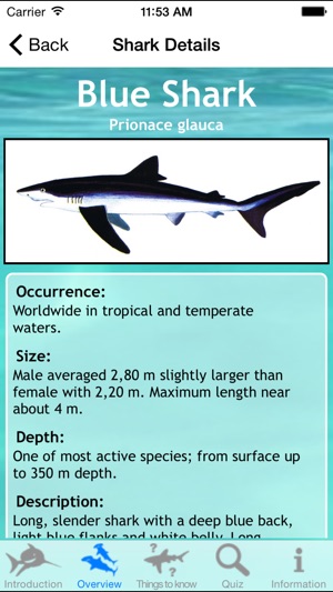 Sharks of the World(圖3)-速報App