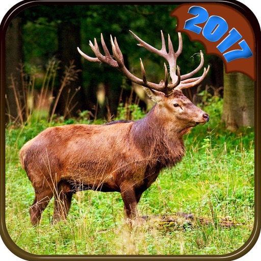 2K17 Deer Hunting Adventure icon
