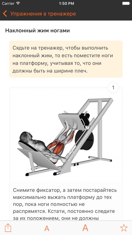 Постановка ног при жиме ногами в тренажере. Жим платформы ногами. жим ногами лежа на тренажере. жим ногами в тренажере техника. жим ногами лежа техника.