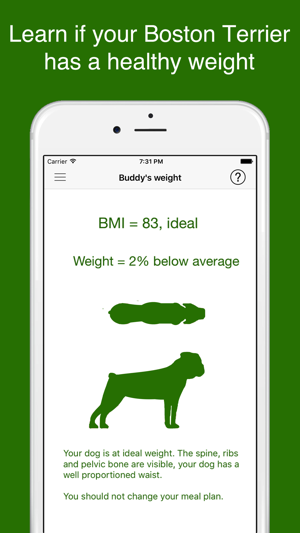 My Boston Terrier(圖2)-速報App