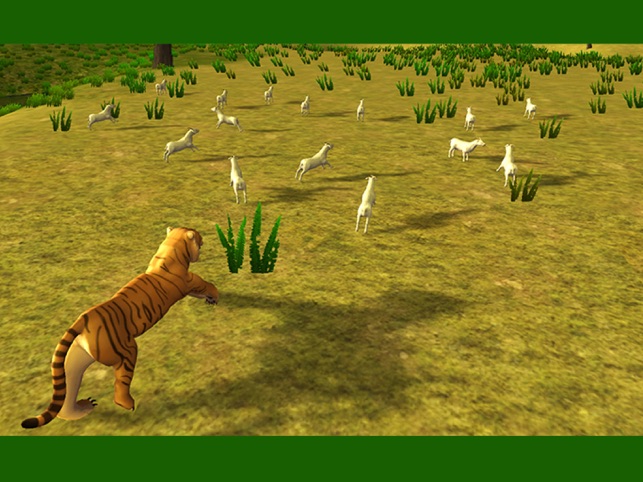 Hổ simulator & động vật rừng safari