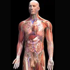 全套人体解剖APP下载 App Store下载