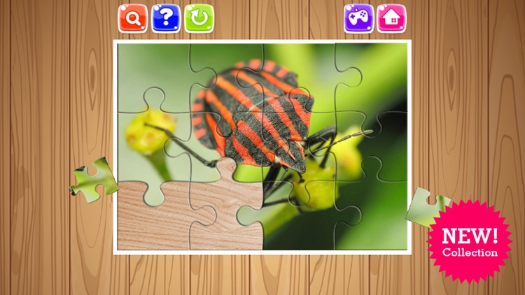 Bug And Insect Jigsaw Puzzle Game For Kids Toddler