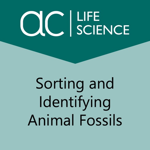 Sorting and Identifying Animal Fossils icon