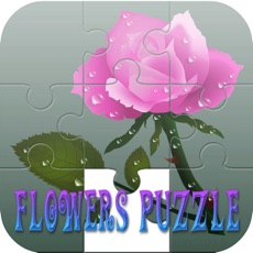 Activities of Cordial Flower Girl Puzzle Games
