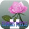 Icon Cordial Flower Girl Puzzle Games