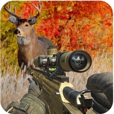 Activities of Call of IGI Sniper:Jungle Animals Hunt