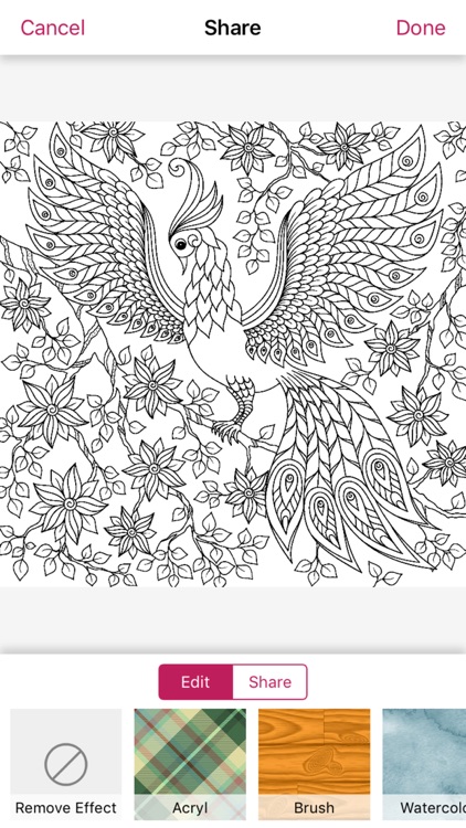 nature mandala coloring book art therapy for adult screenshot-4