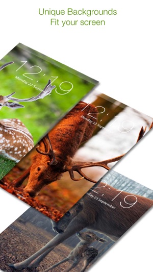 Deer Hunting HD Wallpapers & backgrounds Themes(圖4)-速報App