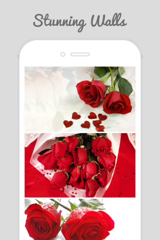 Trendy Roses - Best Collection of Rose Wallpapers screenshot 2