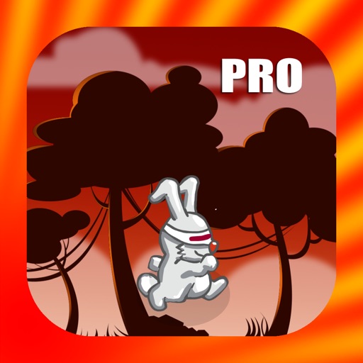 Heart Bunny Adventure Pro icon