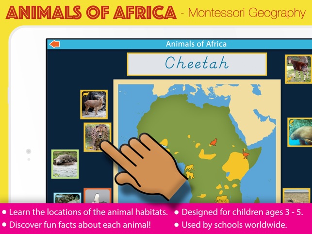 Animals of Africa - Montessori Geography