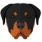 Finally a great personalised app for your Rottweiler