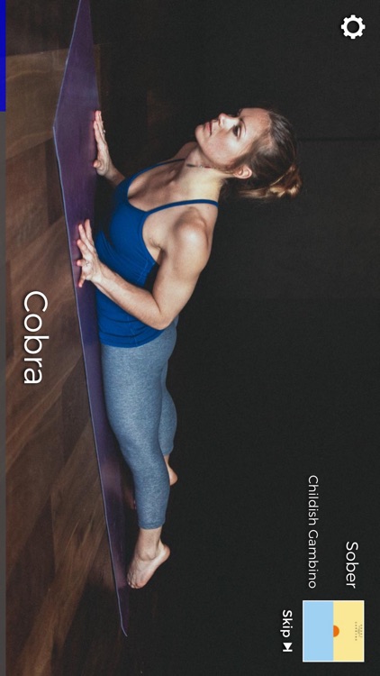 Down Dog: Great Yoga Anywhere