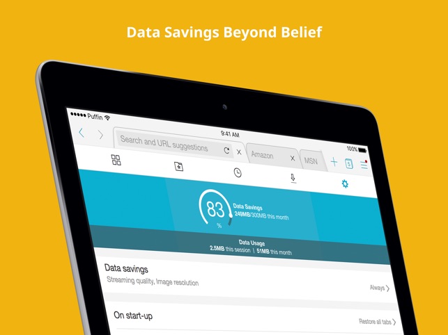 puffin pour ipad gratuit