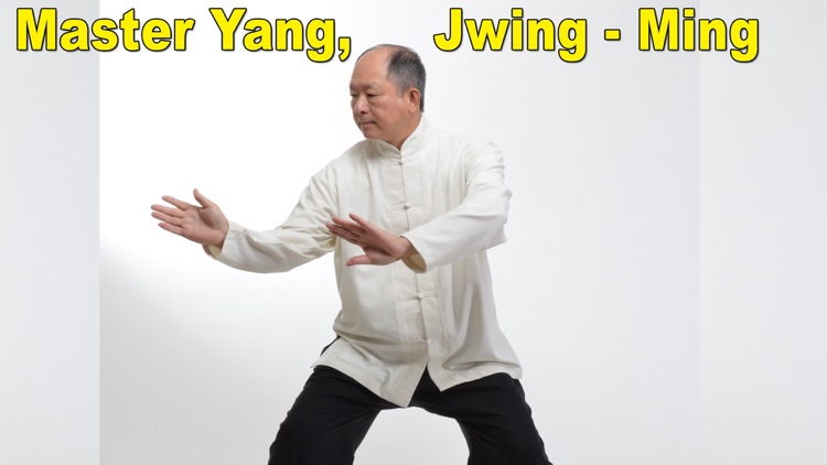 TaiChi 108 Yang Classical Form screenshot-3