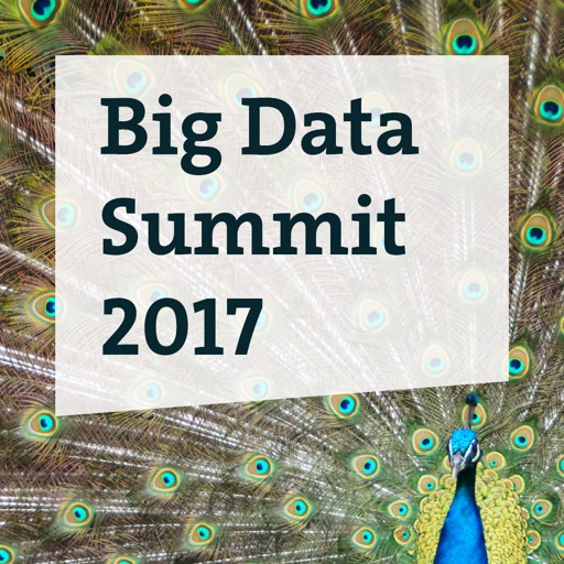 Big Data Summit 2017