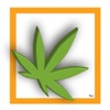 420 Social for iPhone