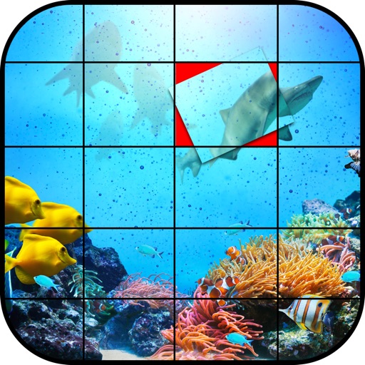 Ultimate Picture Slide Puzzle iOS App