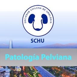 Curso Urología 2017