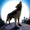 Wolf.io Pro Version