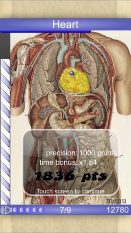 Speed Anatomy (Quiz)