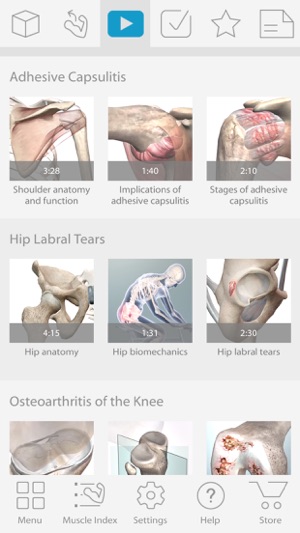 Muscle Premium - Human Anatomy, Kinesiology, Bones(圖5)-速報App