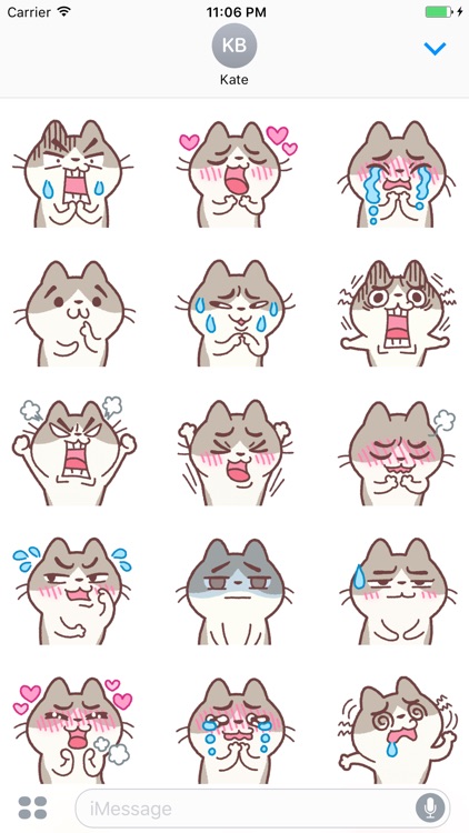 Misa The Funny Kitten Stickers