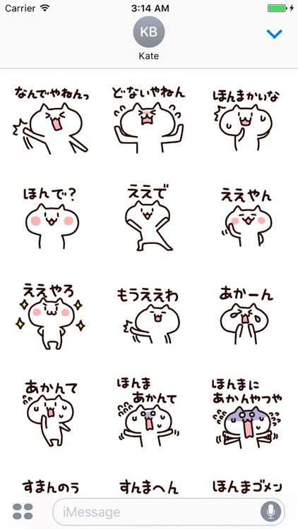 Osaka cat